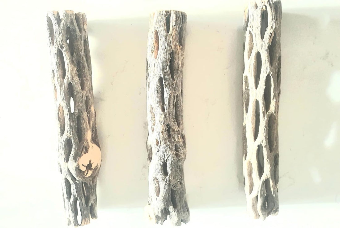 Hexagrowth Cholla Wood Shrimp Hideout, Habitat for Fish, Toy for Gecko