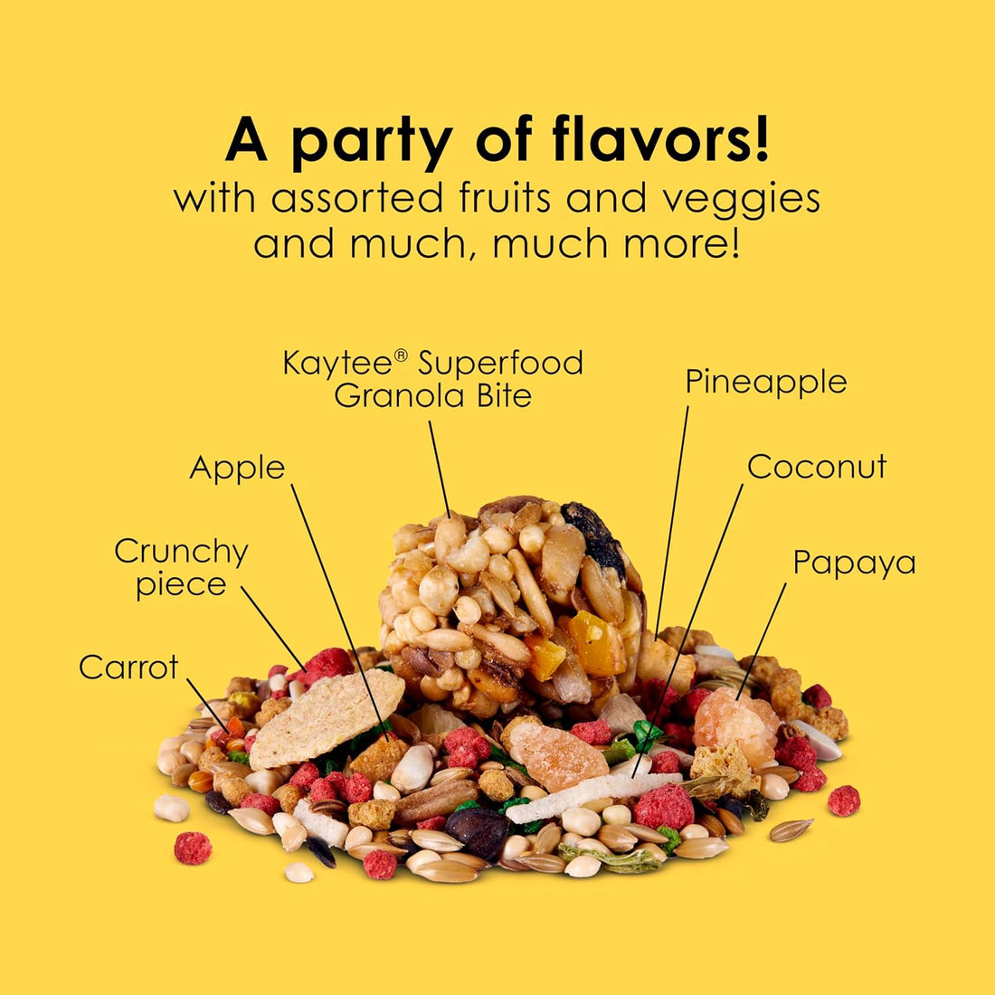 Kaytee Fiesta Parakeet Food, Nutritious and Fun Blend, Supports Skin