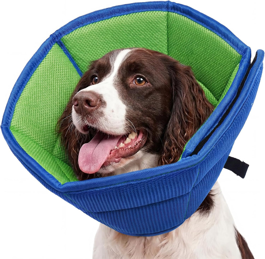 Allroaring Dog Cone Collar After Surgery
