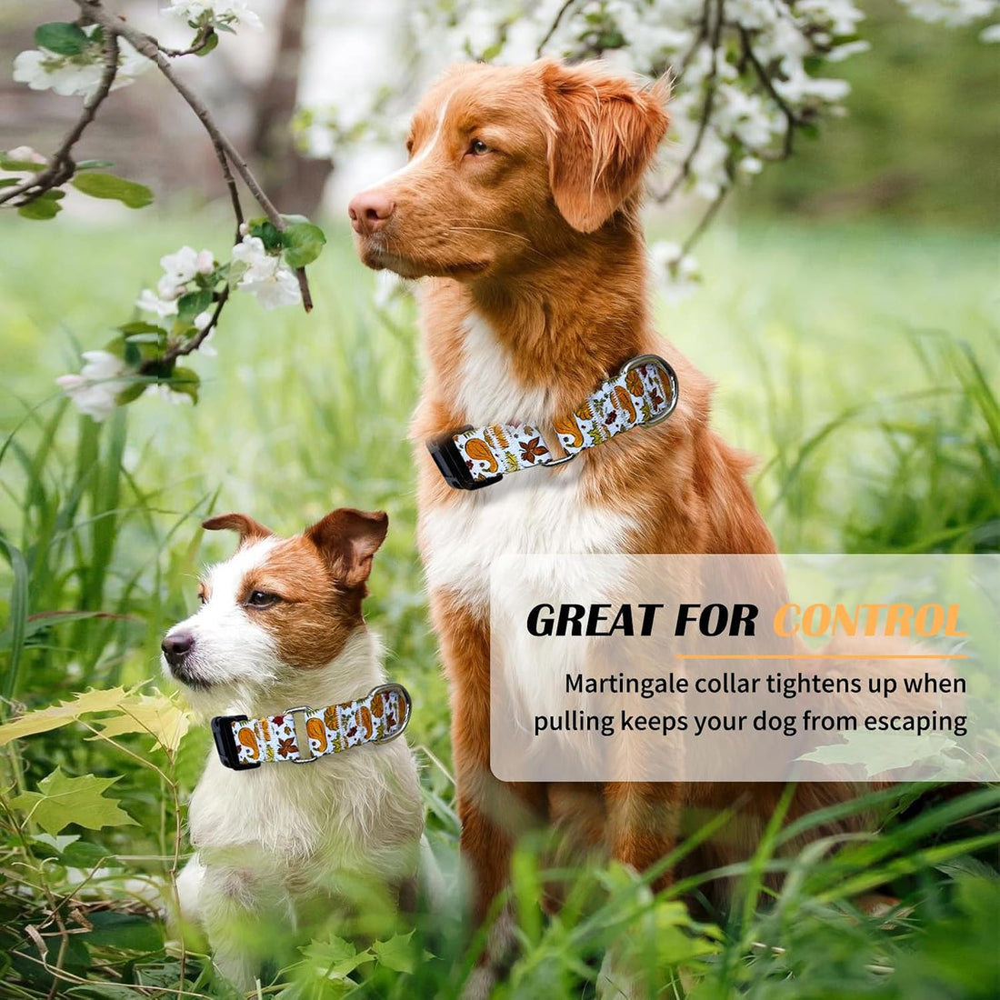 Hikiko Martingale Collar for Dogs with Halloween Pattern,Adjustable,L