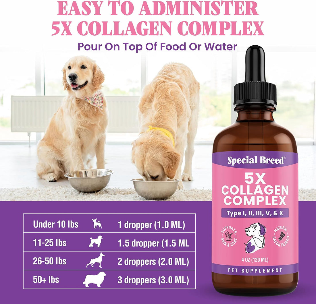 Premium Collagen for Dogs - Liquid Support for Joints, Skin, Coat