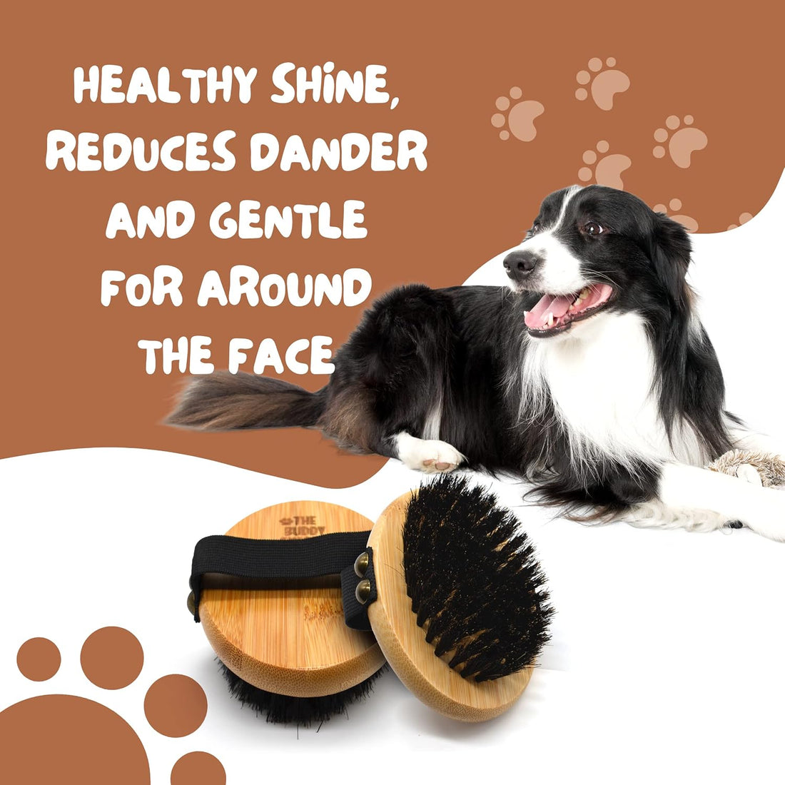The Buddy System Pet Close Brush, Soft Touch Oval Palm Brush
