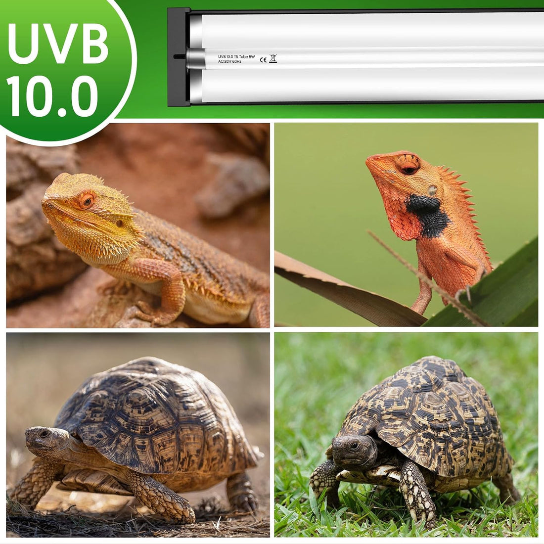 QZQ T5 10.0 UVB Reptile Light Fixture Combo Kit 8W