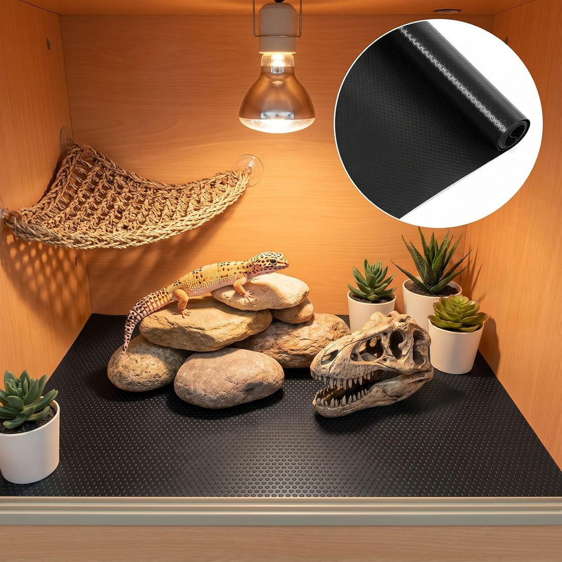 Bearded Dragon Tank Accessories