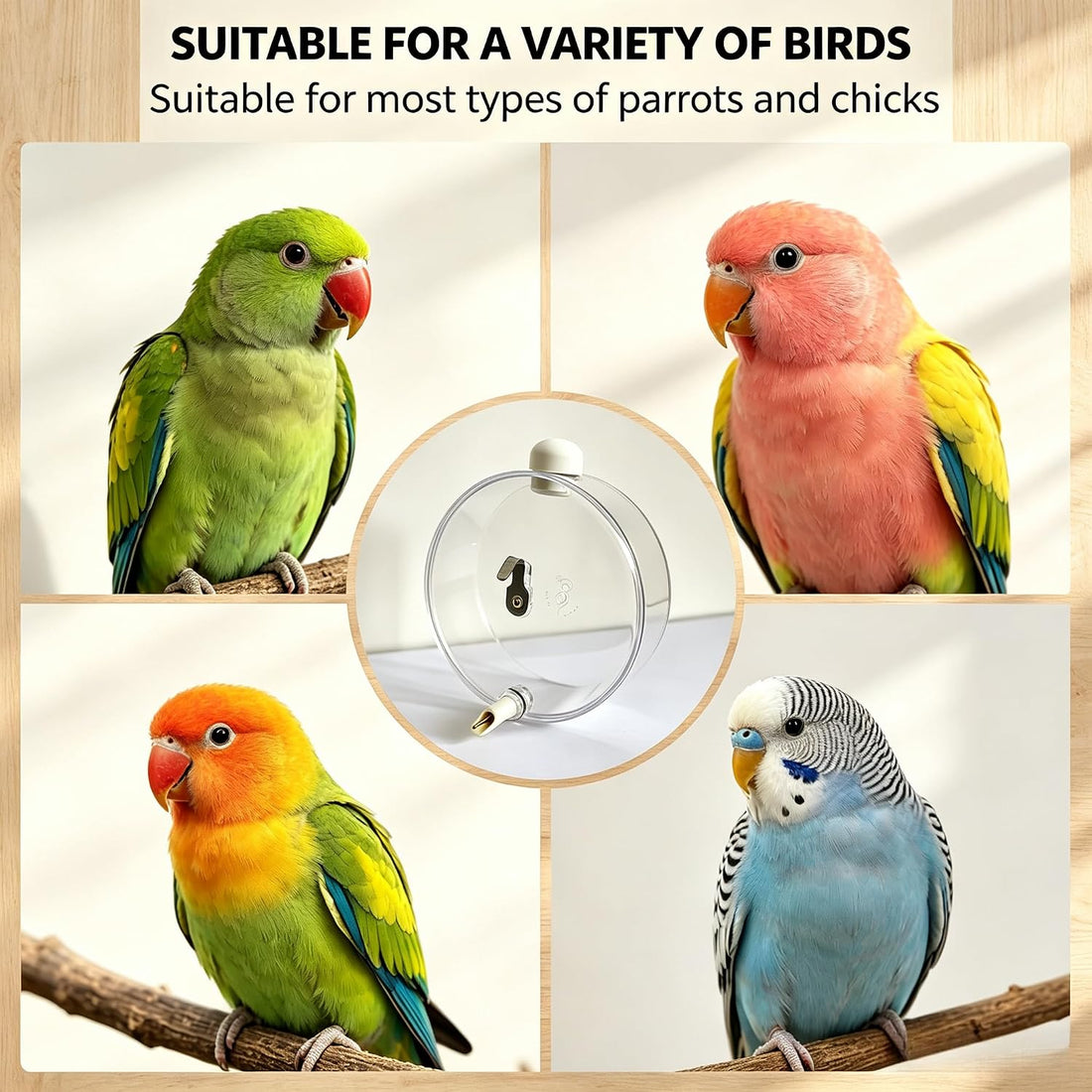 330-Milliliter Top-Fill Bird Water Dispenser with No-Drip Brass Pin
