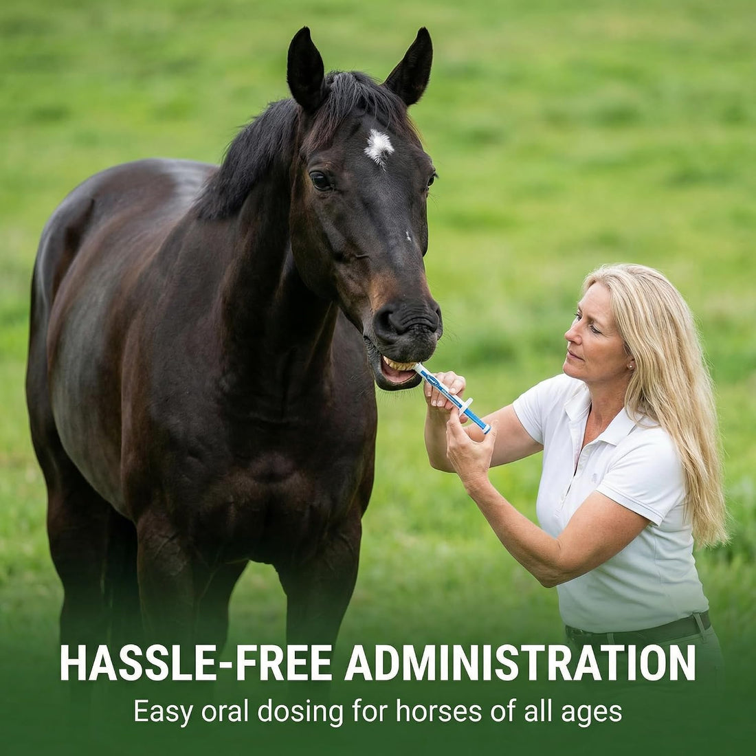 6-Pack Ivermectin Horse Paste 1.87%