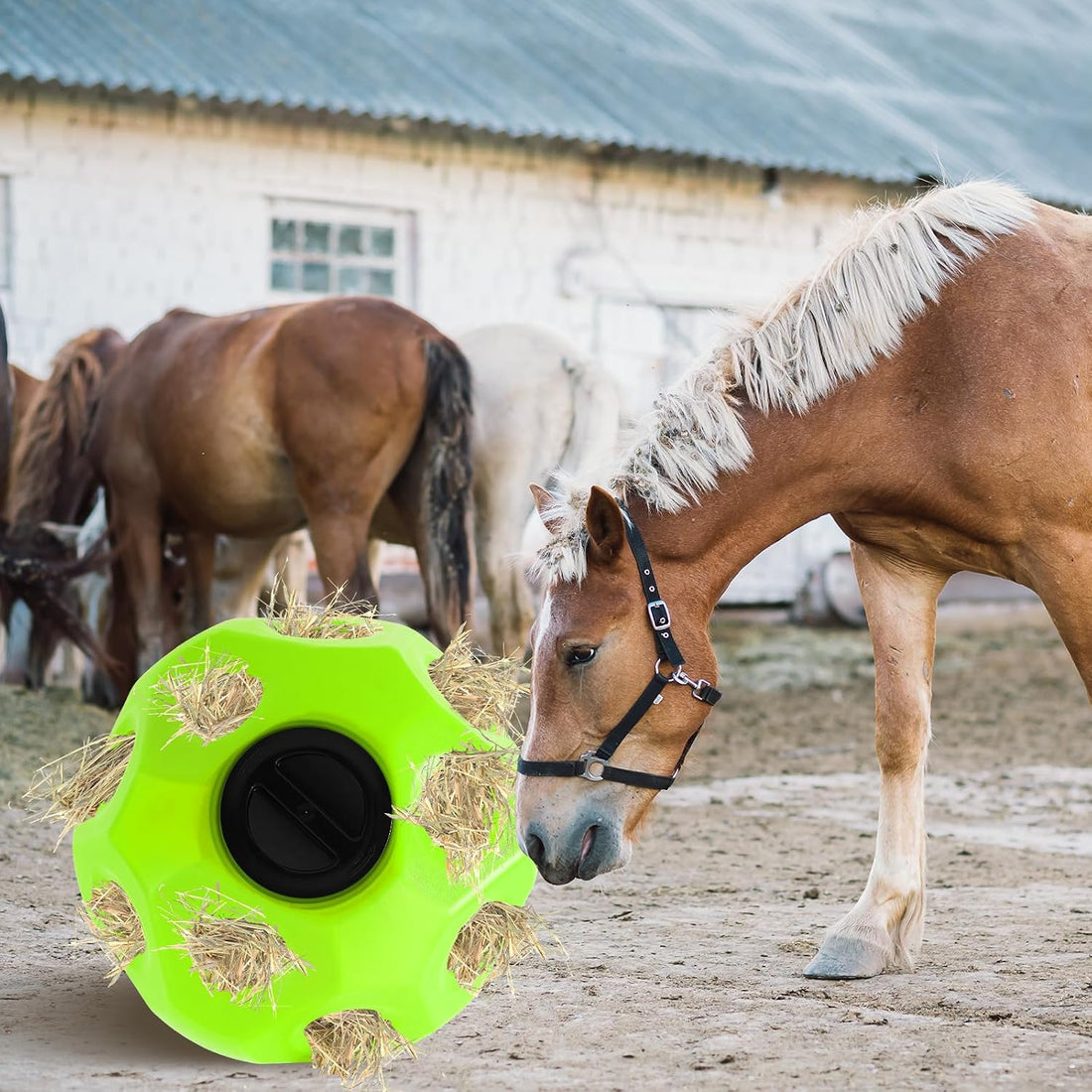 Seenelling 15.75" Extra Large Slow Feed Hay Ball for Horses,Green