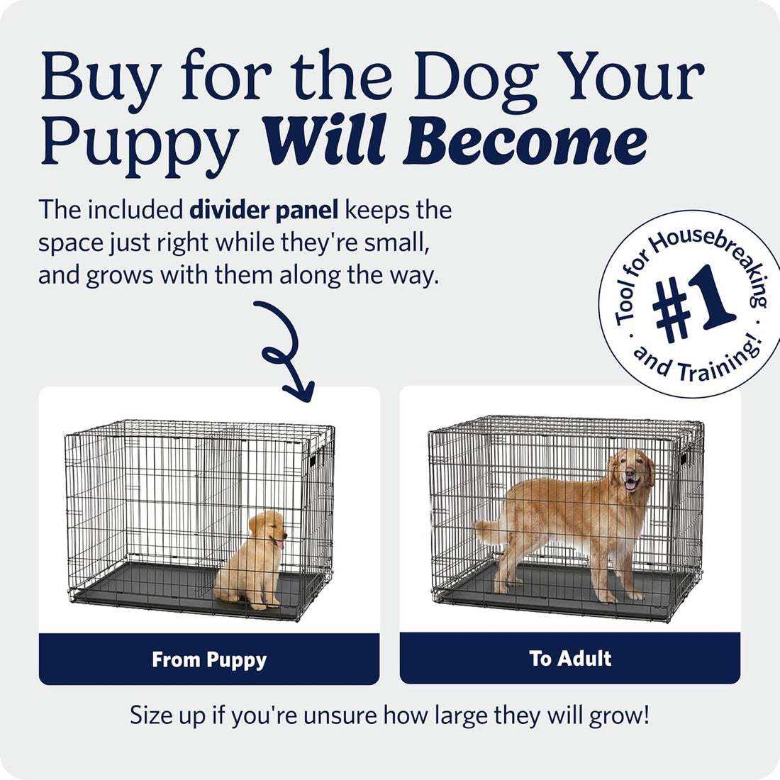 MidWest Homes for Pets 36-Inch iCrate for Medium-Large Breeds
