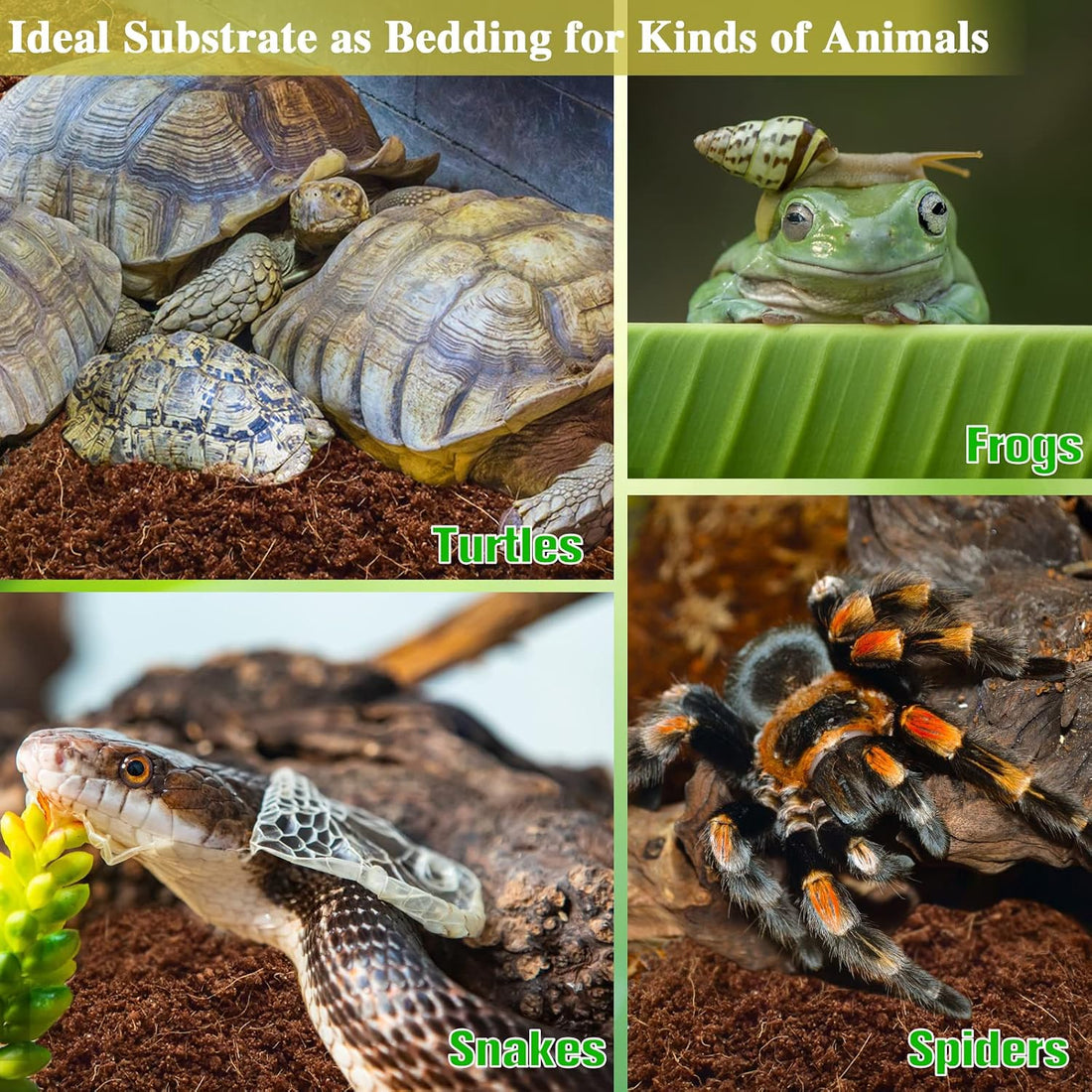 ZeeDix 2 Pack Coconut Fiber Substrate