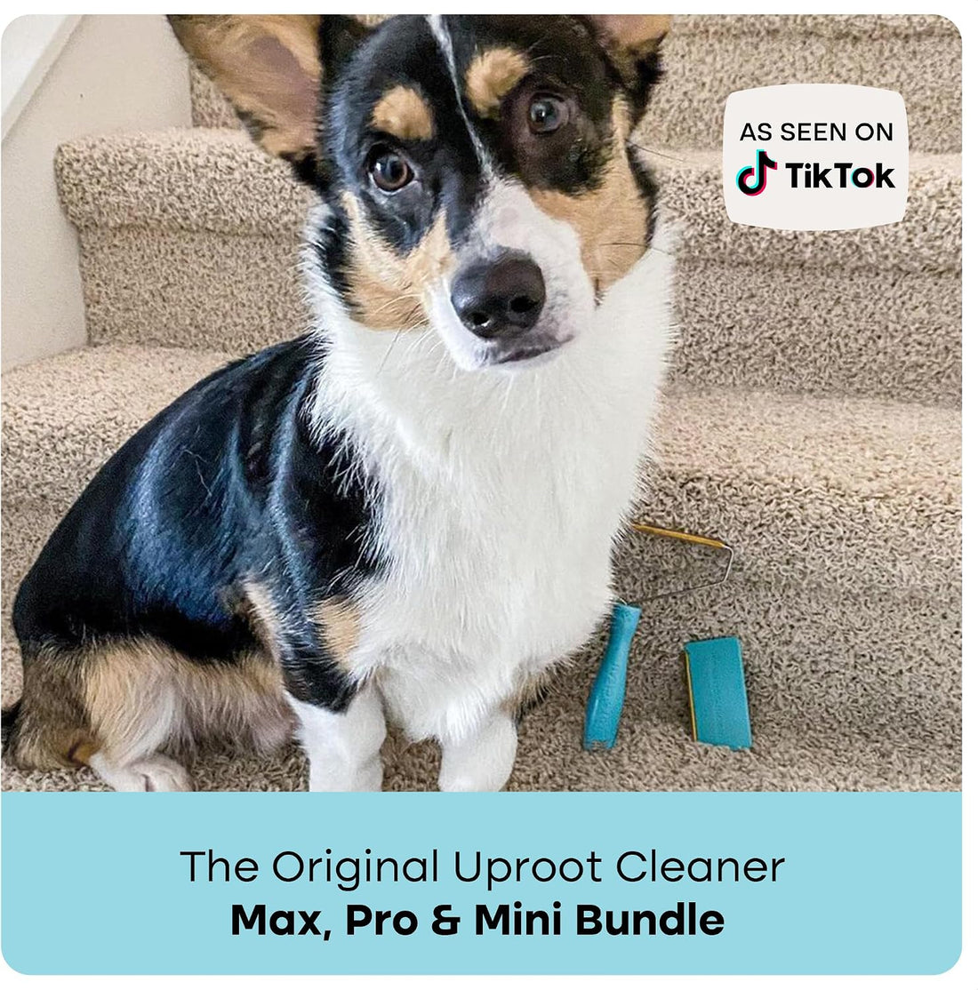 Uproot Clean Pet Hair Remover