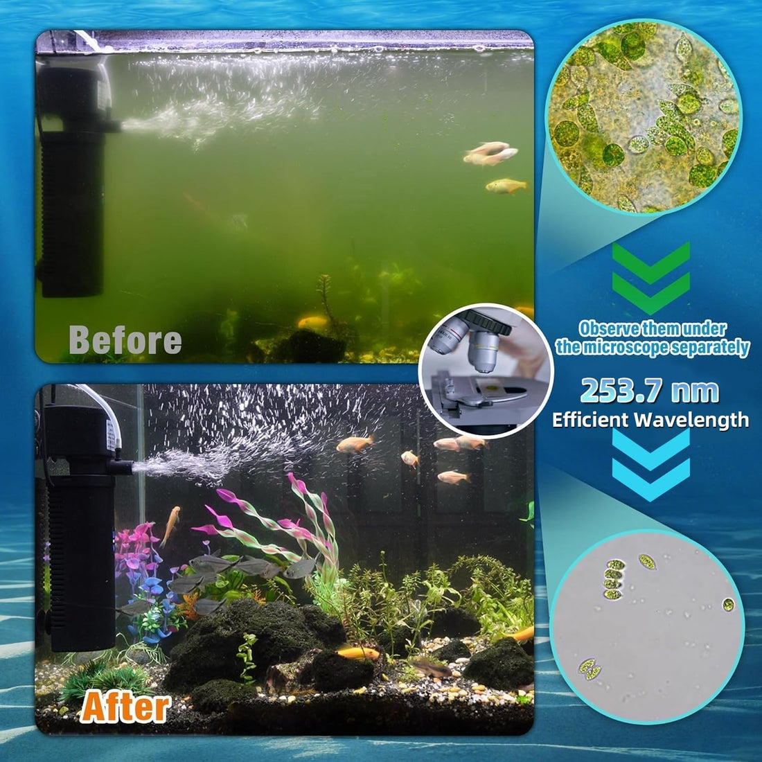 TARARIUM U-V Aquarium Filter for Fish Turtle Tank