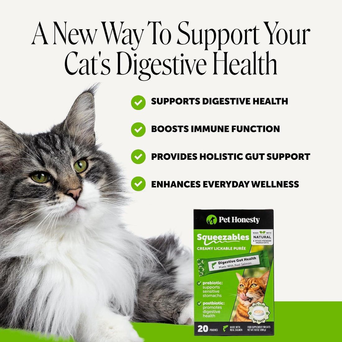 Pet Honesty Vet Backed Cat Probiotics Lickable Puree, Salmon, 20 Ct