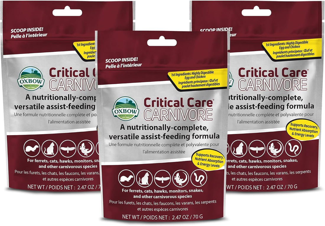 Oxbow Critical Care Carnivore Formula for Cats & Ferrets, 340g