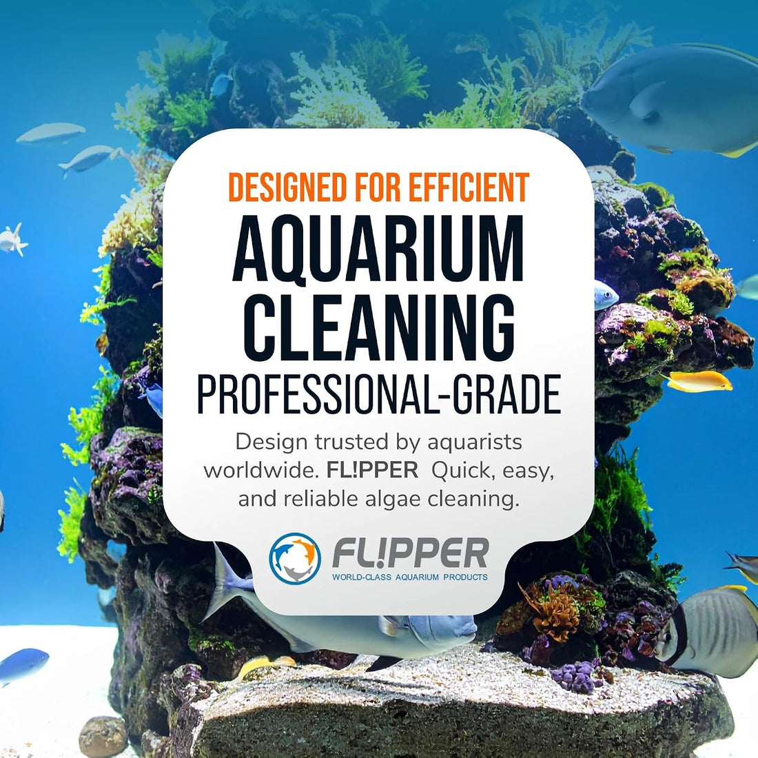 Flipper Magnetic Aquarium Glass Cleaner, Algae Scraper & Scrubber