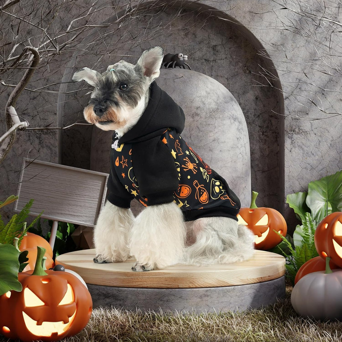 KOOLTAIL Halloween Dog Hoodie Sweatshirt, Pumpkin Pet Costume Outfit