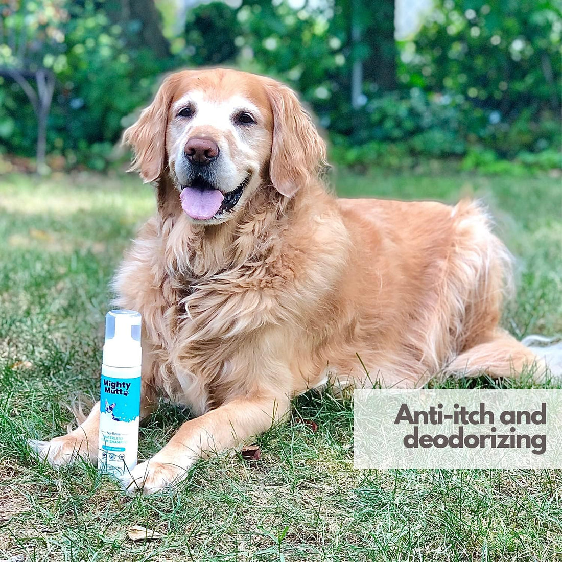 Mighty Mutt Hypoallergenic Waterless Dog Shampoo