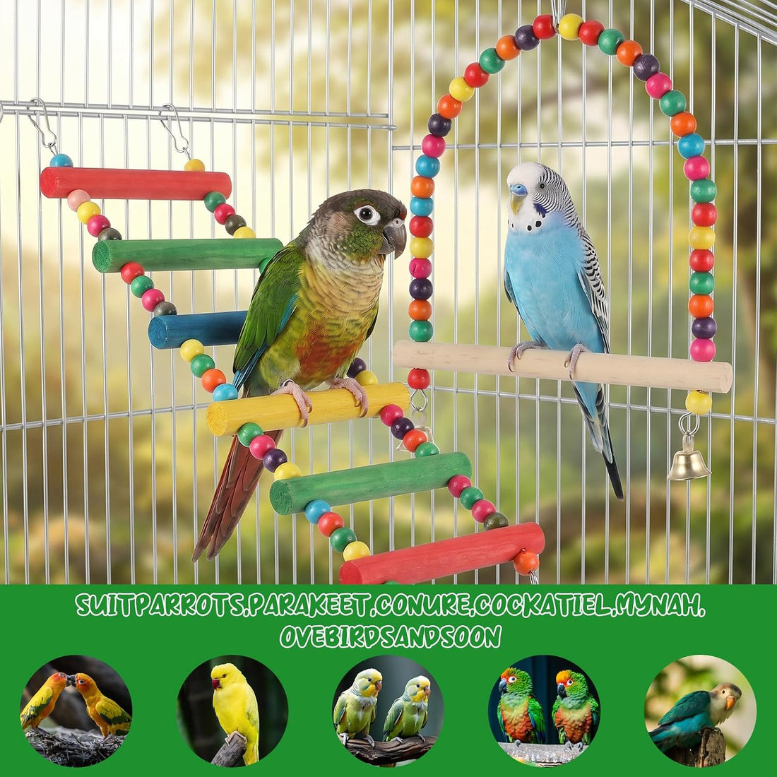 2 Pcs Bird Swing and Rainbow Color 6-Step Bird Ladder for Cage