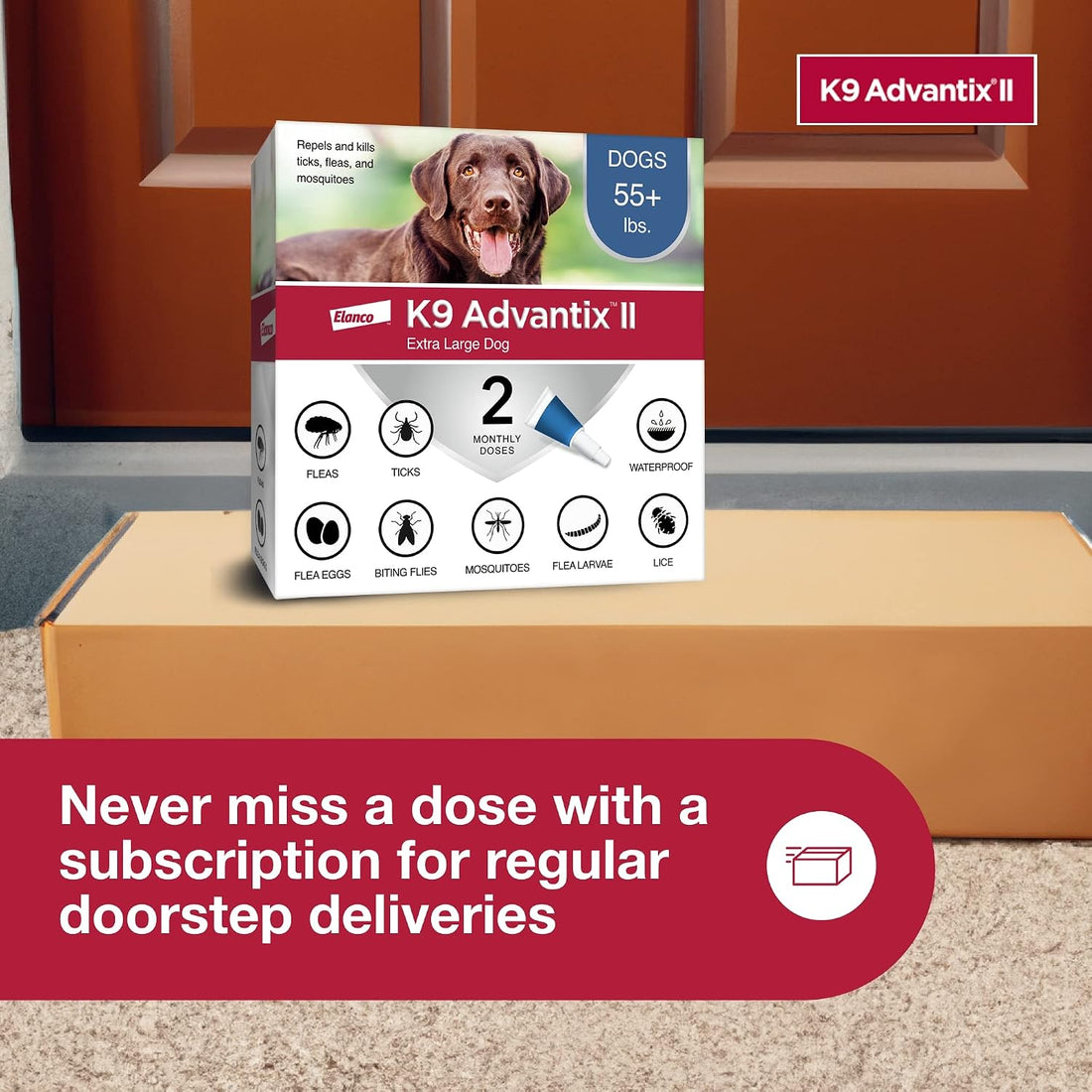 K9 Advantix II XL Dog Vet-Recommended Flea