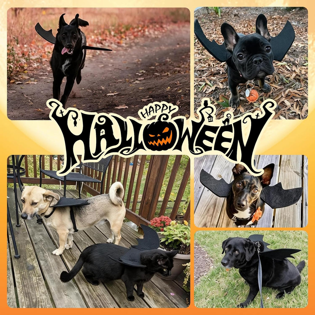 Halloween Dog Bat Wings Pet Costume with Pumpkin Bells for Halloween