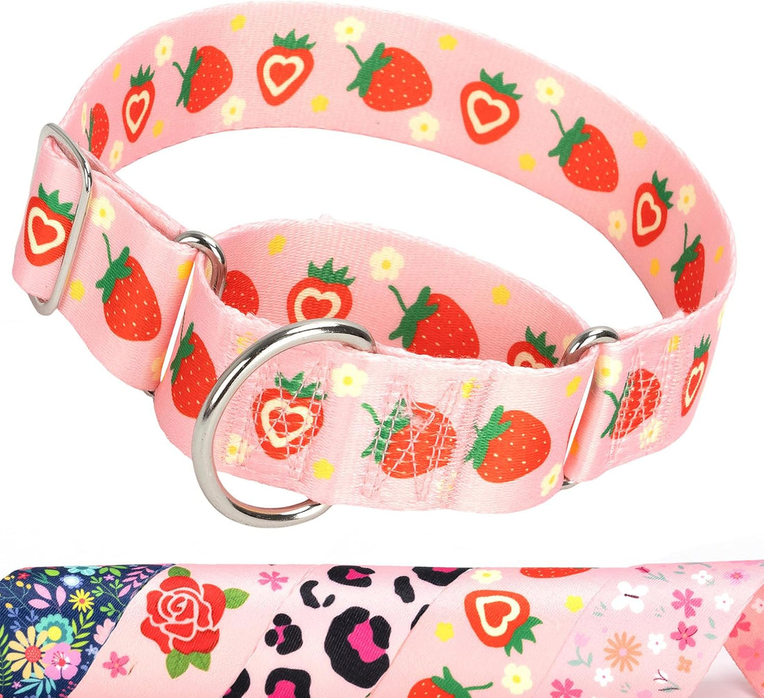 1.5 inch Skulls Martingale Collar for Dogs,Training Collar for Large