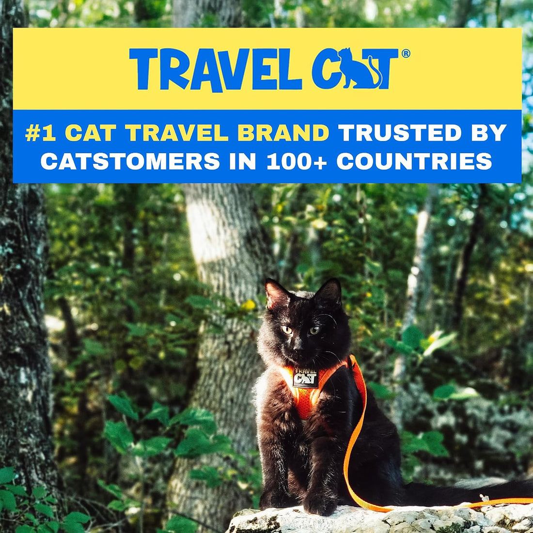 Travel Cat Harness and Leash Set