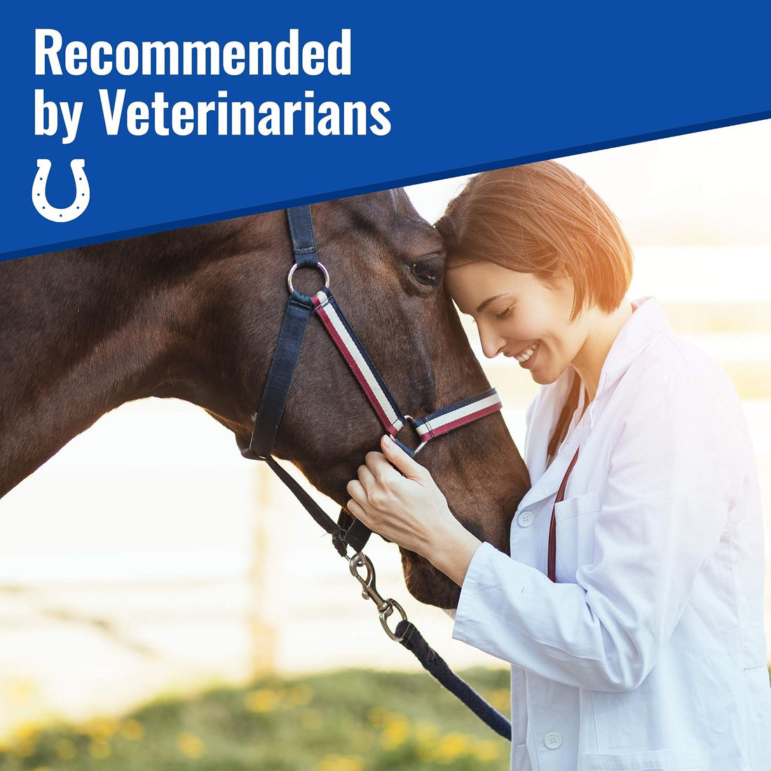 Om Mushroom Matrix - Equine | Wellbeing