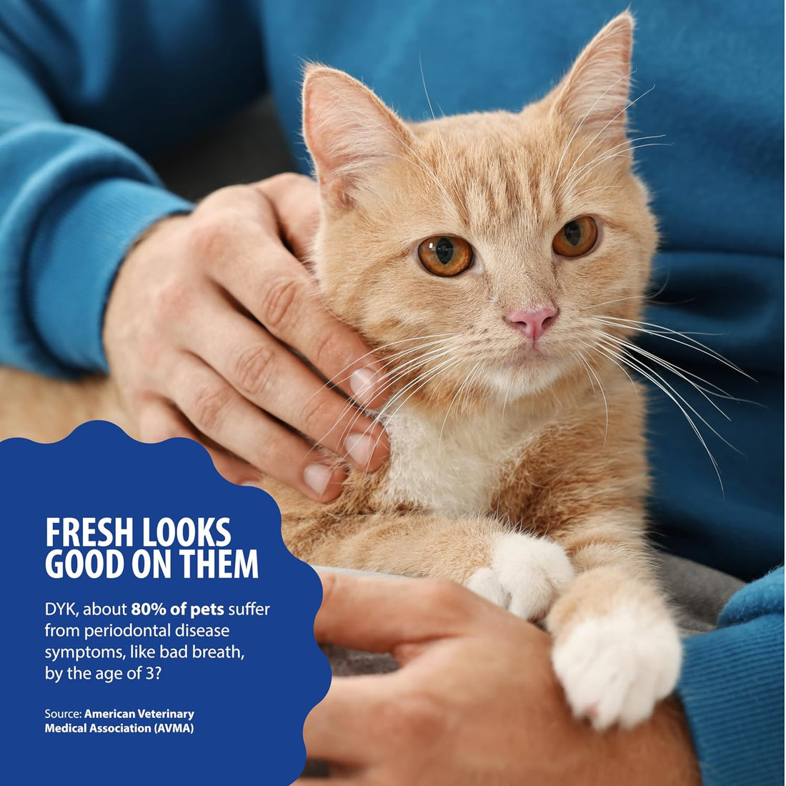 Dental Fresh Cat Water Additive, Tuna Flavor Dental Care
