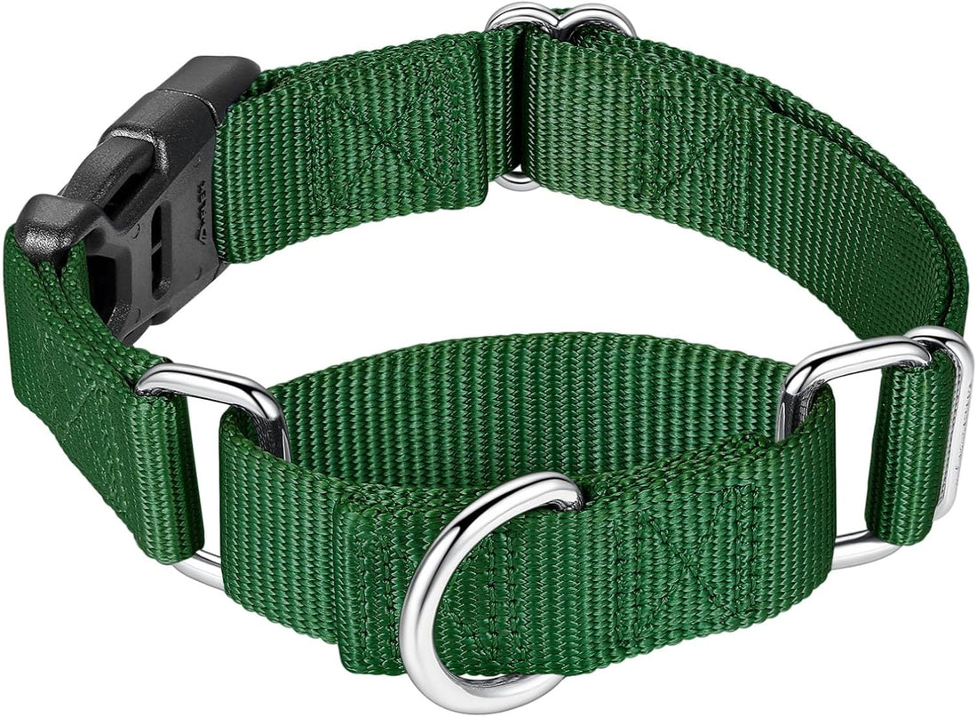 Mikivery Martingale Collar for Dogs Nylon Dog Collar with Quick