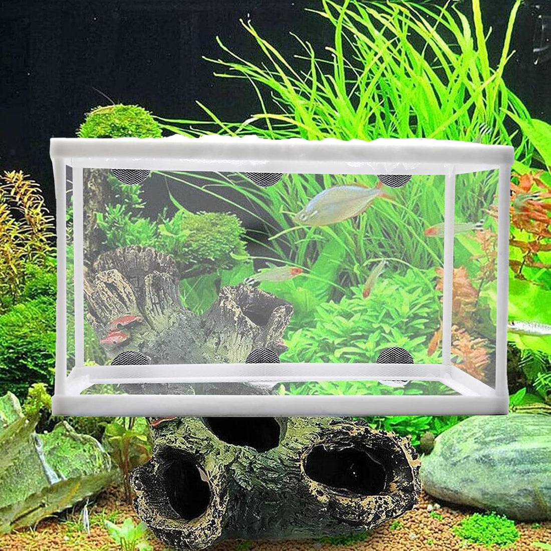 Anxingo 2 Pack Fish Tank Breeder Net,Fish Isolation Breeding Hatching