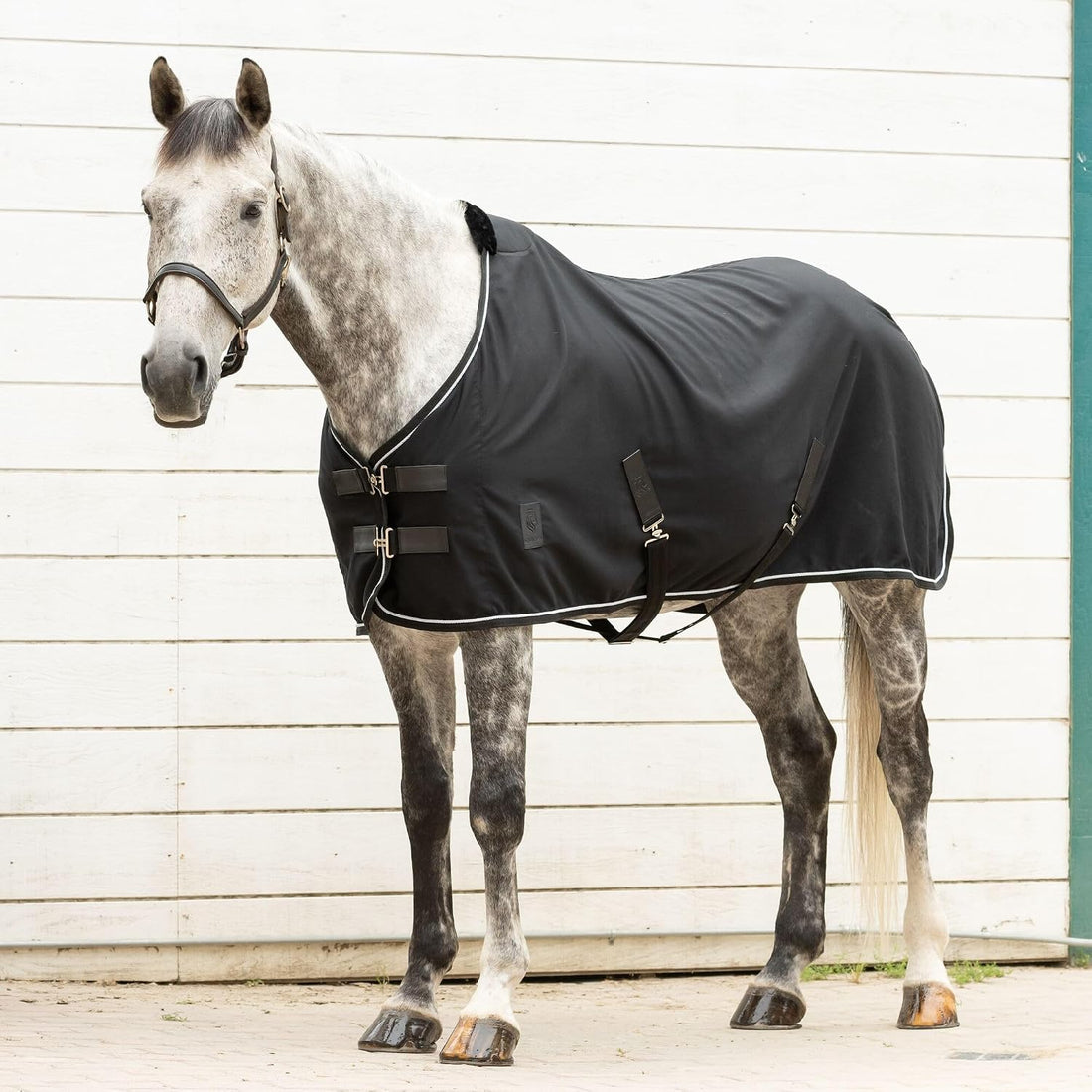 Equinavia Vind Lightweight Stable Blanket for Horses