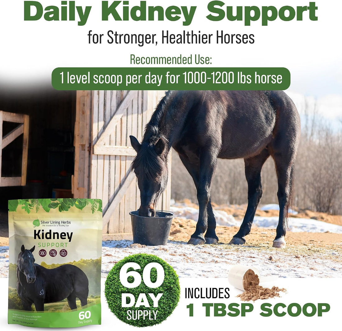Silver Lining Herbs Kidney Support Supplement for Horses - 1 lb