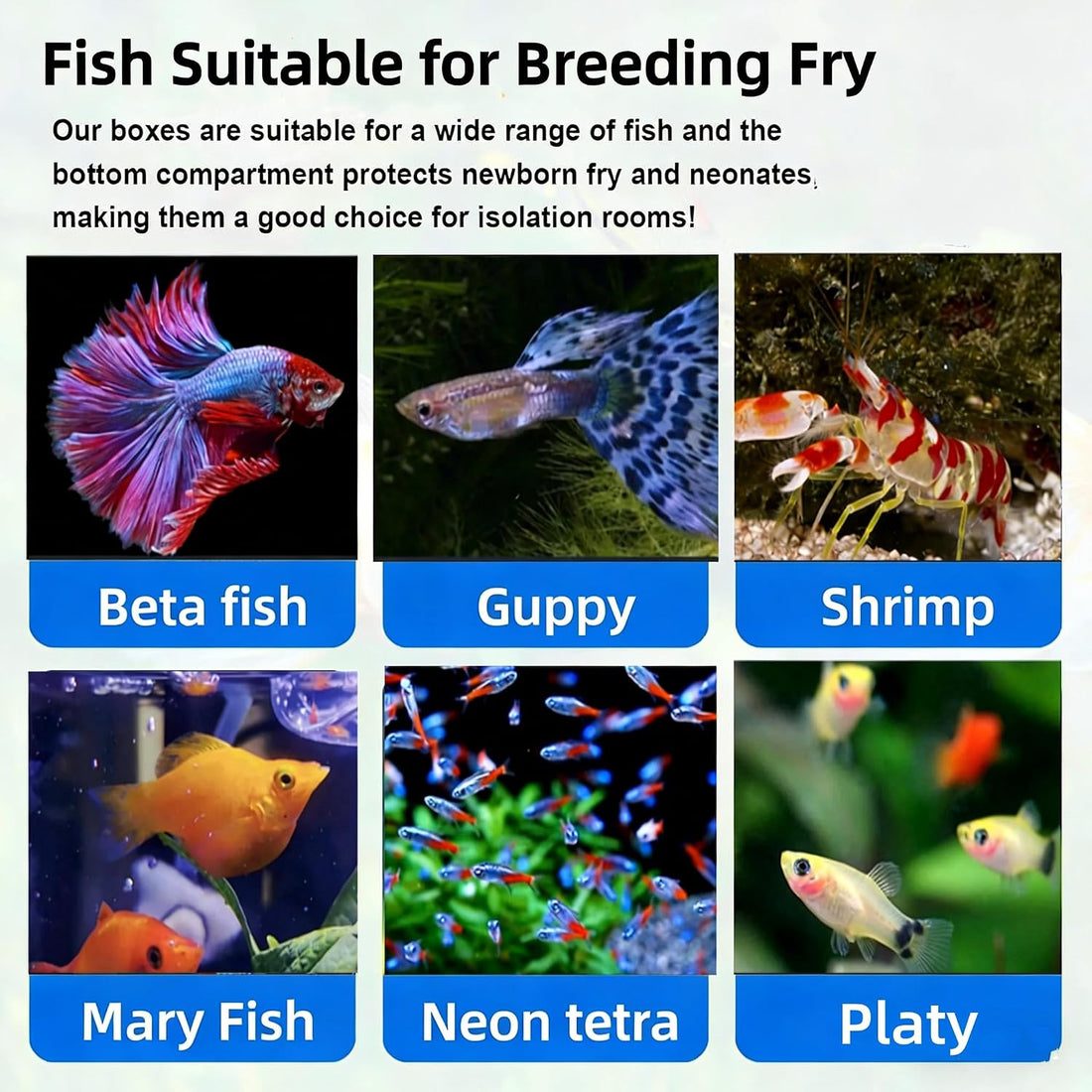 Fish Breeding Box,Breeding Box for Fish Tank,Betta Breeder Box