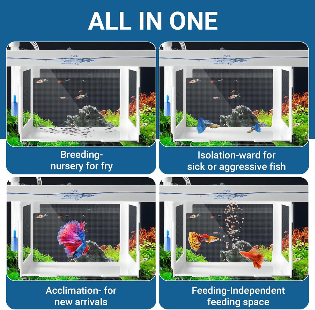 Floating Aquarium Breeder Box, Fish Acclimation & Isolation Tank