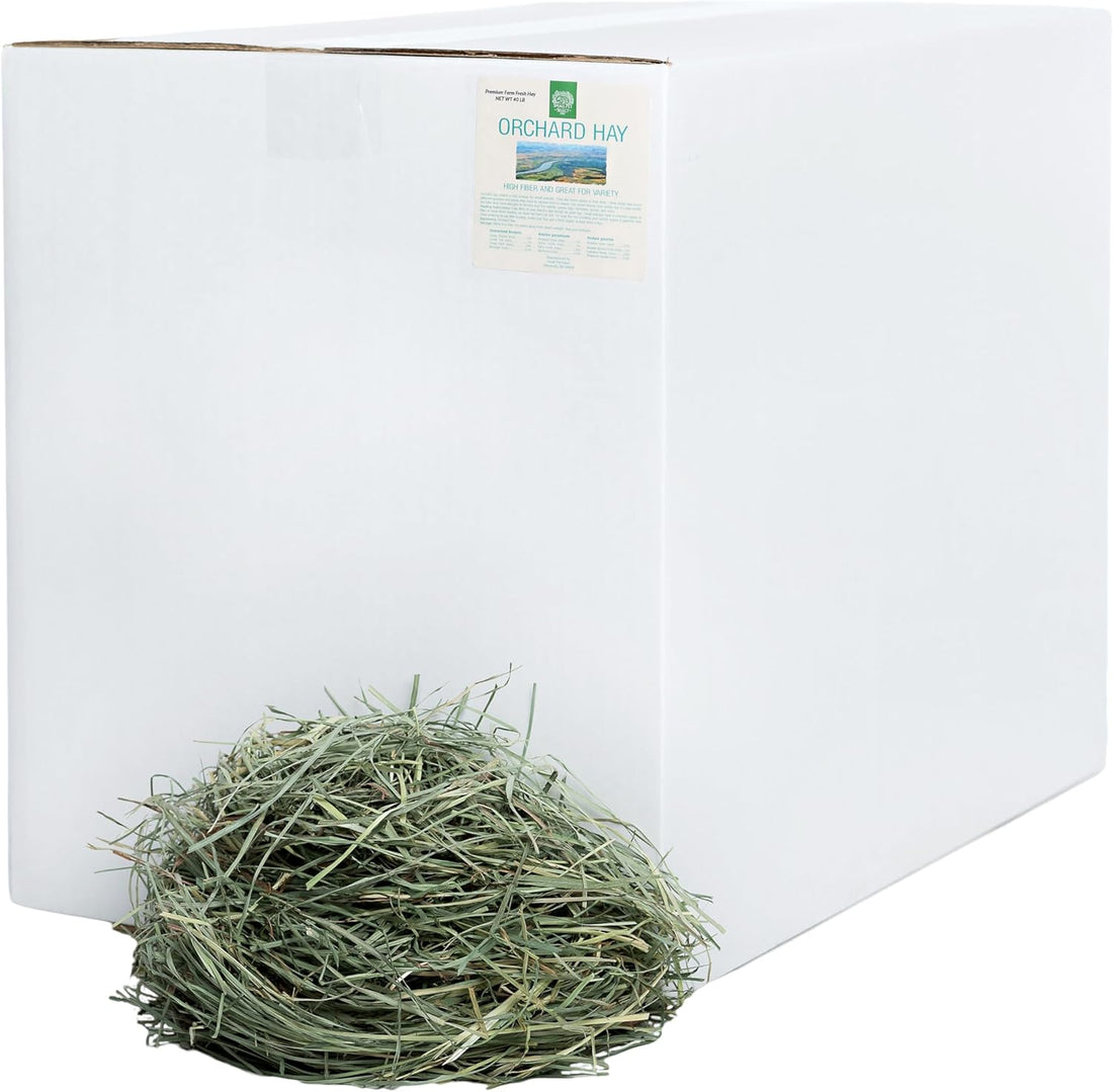 Small Pet Select Orchard Grass Hay Pet Food for Rabbits, Guinea Pigs
