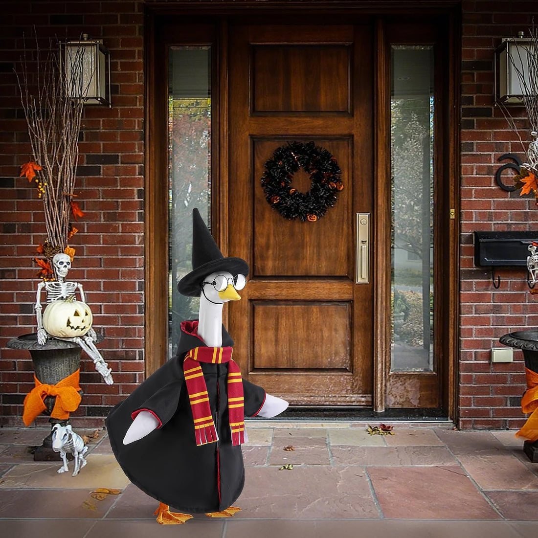 4Pcs Halloween Wizard Goose Outfits