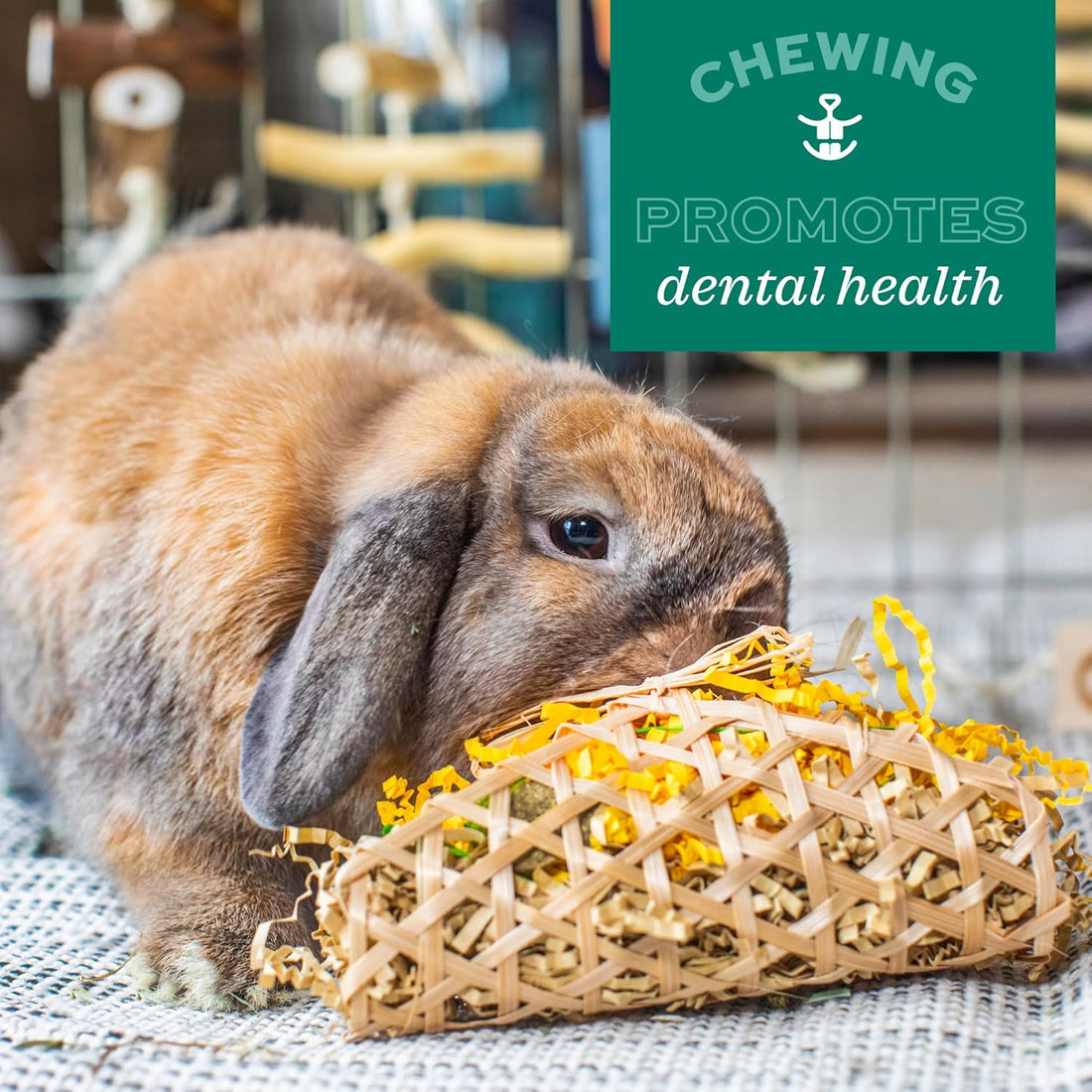 Oxbow Apple Stick Bouquet, Rabbit & Guinea Pig Toys