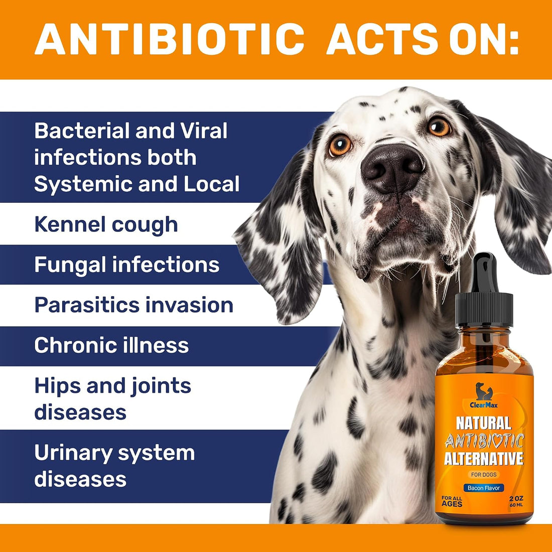 Dog Antibiotics for Infections, Allergies, Coughs