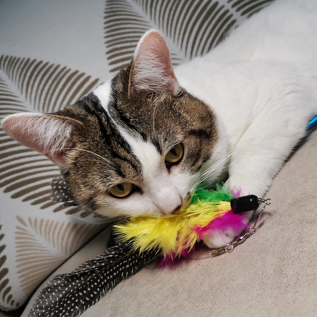 Cat Feather Toys Refills, 10 Pieces Worms Feathers Refills