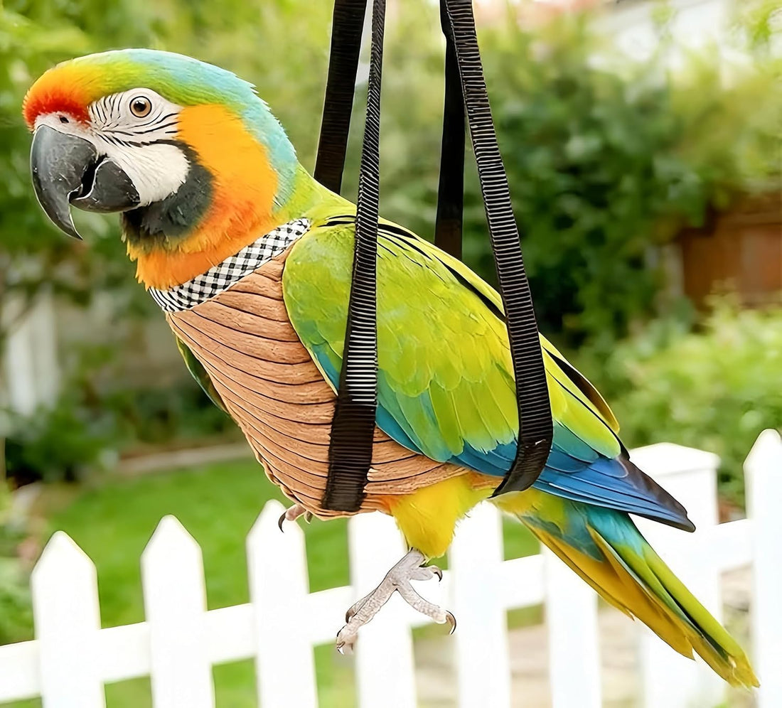 2Pcs Portable Bird Carrier Bag