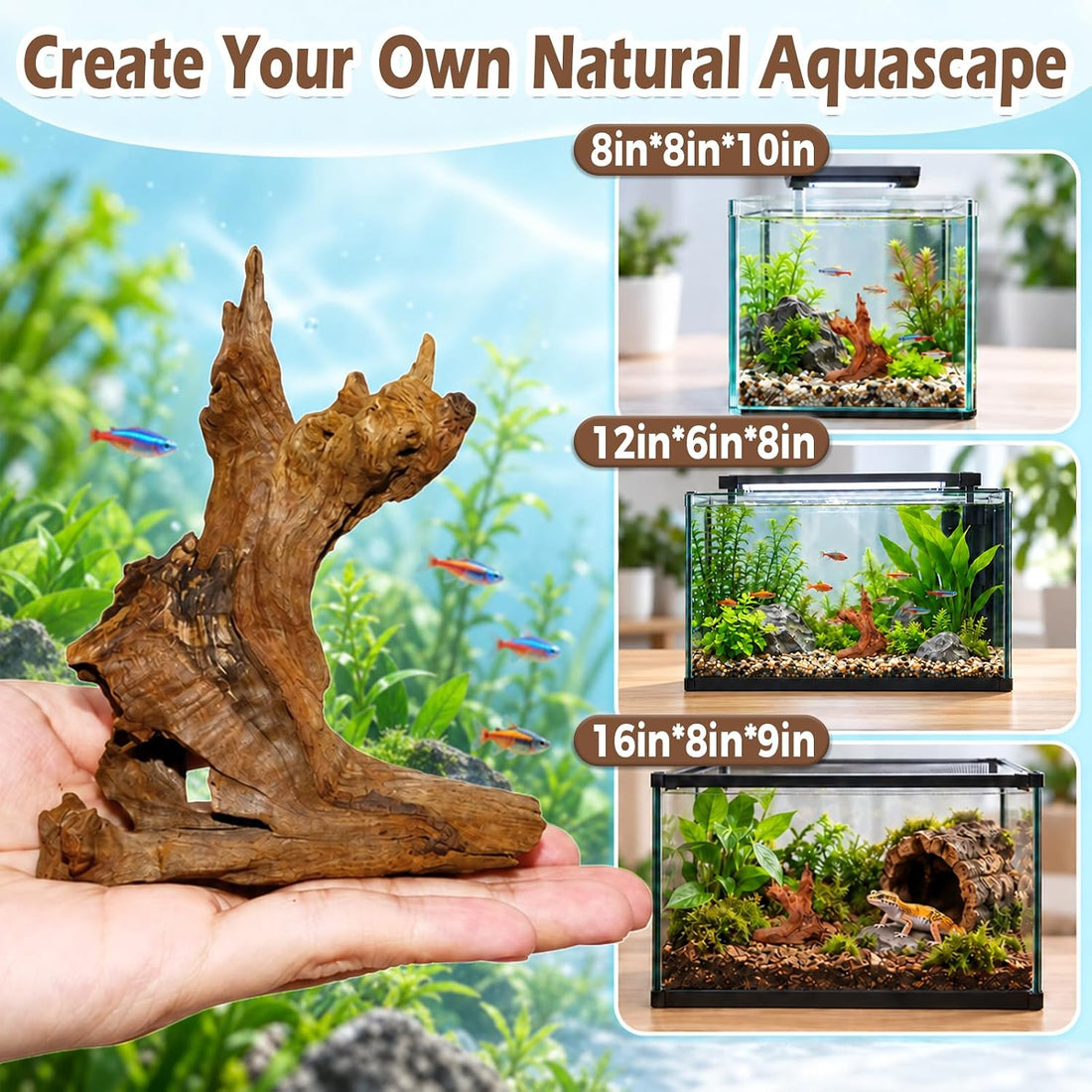 12PCS Natural Small Driftwood 2"–4" Unique Wood for Aquarium