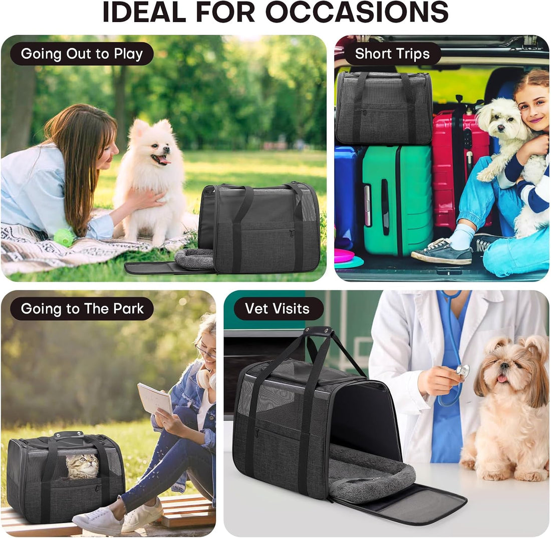 JUNGYOUN Premium Cat Carrier