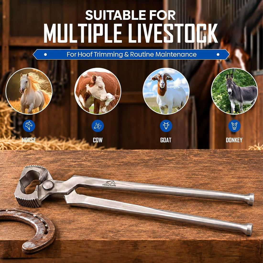 Equine Care 14 Inch Horse Shoe Puller & Spreader, Round-Corner Head