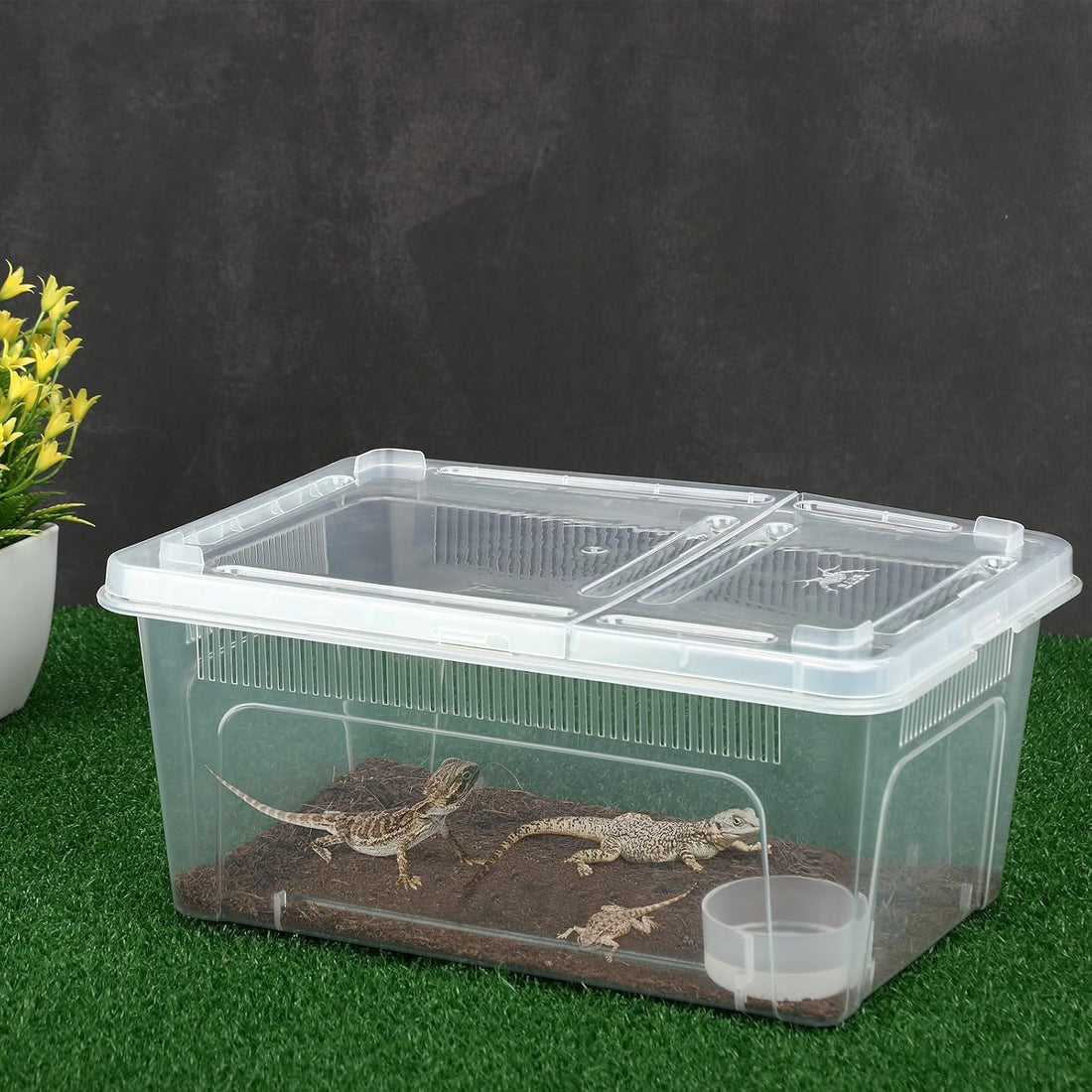 8 Pcs Reptile Breeding Box, Vent Strips, Clear, 10.6 x 7.4 x 4.7 Inch