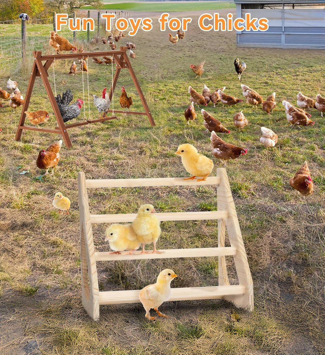 PETSFIT Baby Chick Roosting Bar, Anti-Rotation, Solid Wood