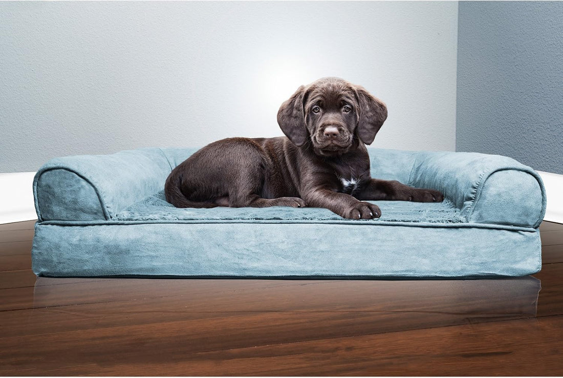 Furhaven Orthopedic Dog Bed for Medium/Small Dogs w/ Removable