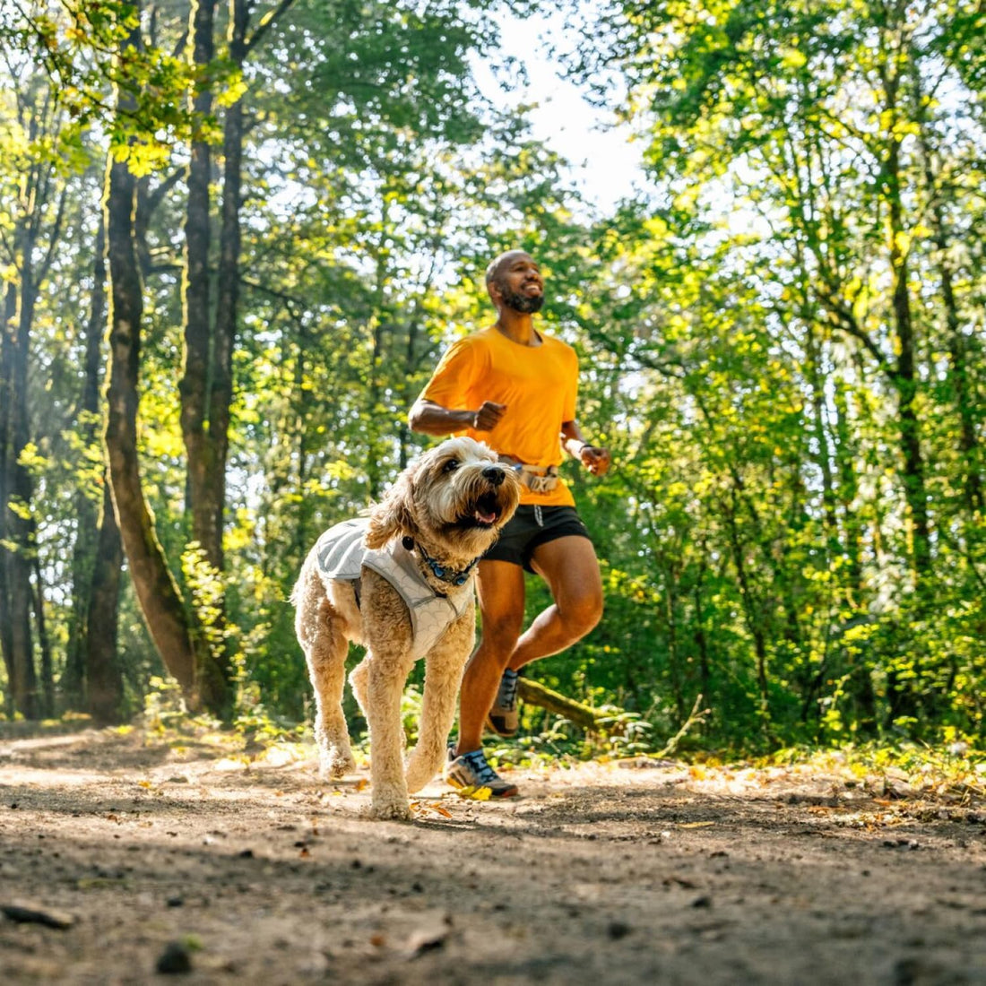 Ruffwear, Swamp Cooler Dog Vest