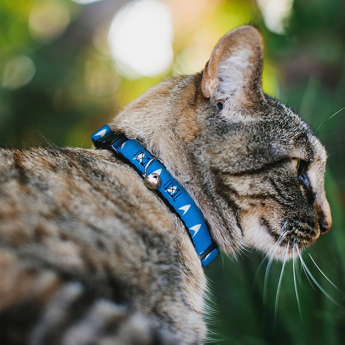 Star Trek Breakaway Cat Collar