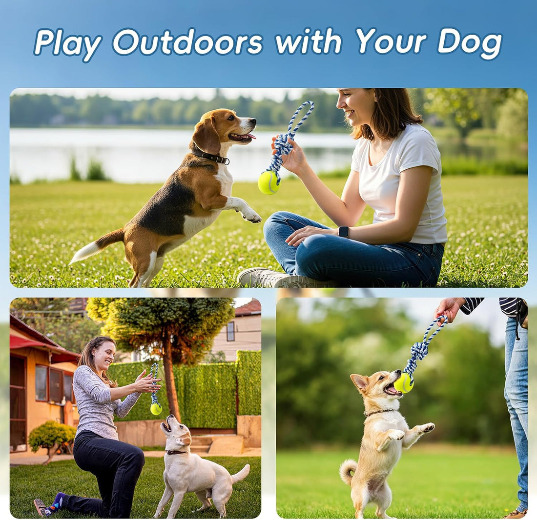 Erhalithegro Interactive Tug of War Rope Toy for Medium & Small Dogs