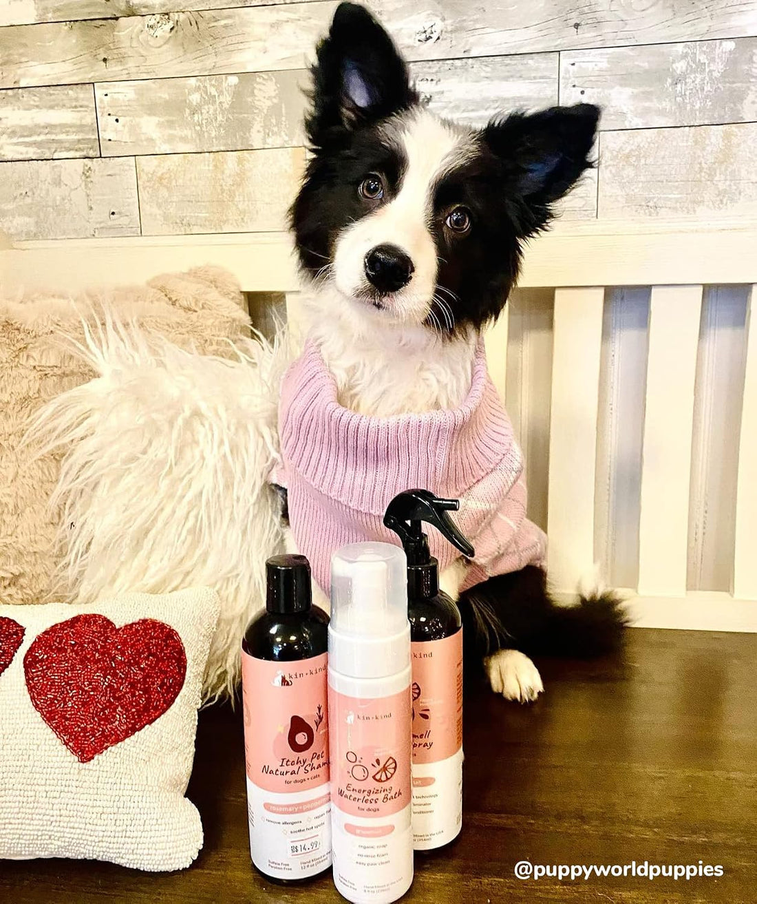 kin+kind Itchy Pet Natural Dog and Cat Shampoo