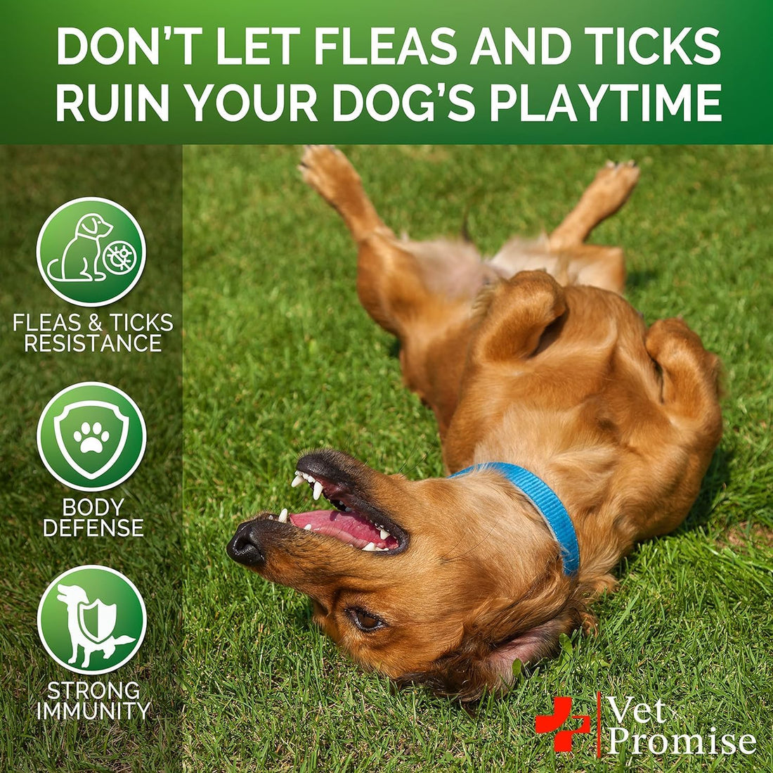 Flea and Tick Prevention for Dogs Chews
